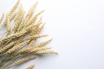 Many wheat spikes on white background, flat lay. Space for text