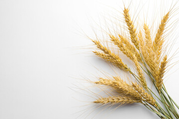 Wheat spikes on white background, flat lay. Space for text
