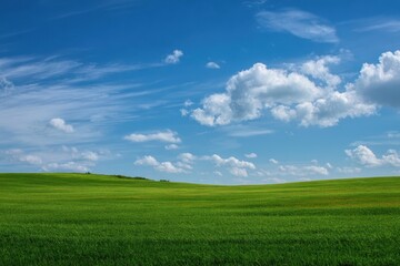 Fototapeta premium verdant meadows under a sunny sky