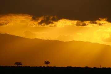 Dramatic African Sunset with Silhouetted Trees and Mountains