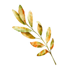 Watercolor leaf in warm autumn tones. Botanical hand drawn illustration isolated on background. Ideal for seasonal, halloween, forest, or nature-themed designs. Rustic foliage perfect for fall decor