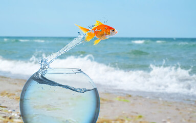 Goldfish jumping out of glass fish bowl into sea outdoors
