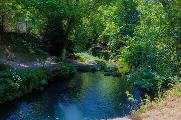 Top view of a forest waterfall with foaming water falling into a clear river. Sparkling sunlight on water and lush green plants create a peaceful natural background.