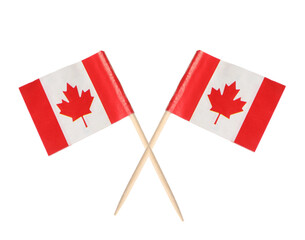 Small paper flags of Canada isolated on white