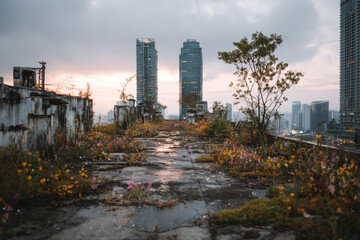 Obraz premium Concrete rooftop with wild grass and small trees among industrial structures and glass skyscrapers