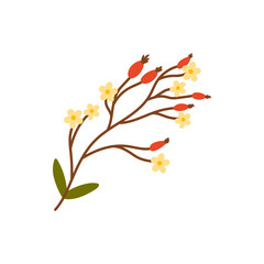 Vector illustration of Autumn flower, leaf and forest branches. Perfect for decorating cards, posters, packaging, and seasonal branding