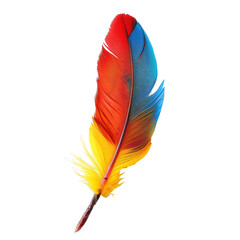Vibrant colorful feather graphic (4)