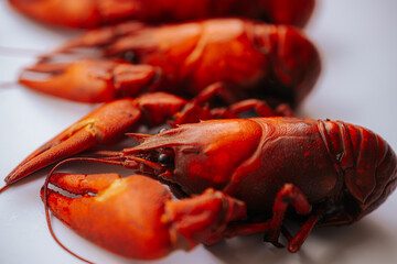Multiple bright red boiled crawfish lined up diagonally on a white background, with copy space on...