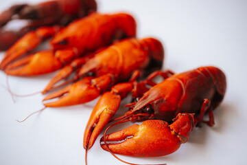 Multiple bright red boiled crawfish lined up diagonally on a white background, with copy space on...