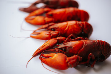 Multiple bright red boiled crawfish lined up diagonally on a white background, with copy space on...