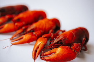 Multiple bright red boiled crawfish lined up diagonally on a white background, with copy space on the left.