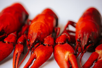Multiple bright red boiled crawfish lined up diagonally on a white background, with copy space on...