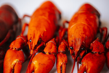 Multiple bright red boiled crawfish lined up diagonally on a white background, with copy space on...