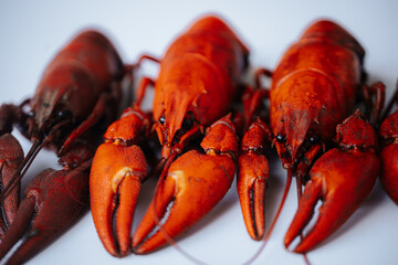 Multiple bright red boiled crawfish lined up diagonally on a white background, with copy space on...