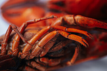 A close-up macro image of the underside of a cooked lobster, highlighting its segmented legs and texture, placed on a white background with a text area.