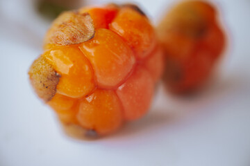 Close-up of three ripe orange melons with attached green leaves, placed on a clean, white surface...
