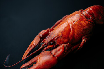A detailed close-up of a bright red cooked lobster, highlighting its claws and textured shell against a black background.