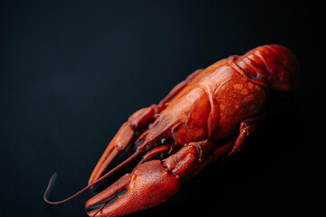 A detailed close-up of a bright red cooked lobster, highlighting its claws and textured shell...