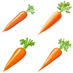 Carrot in a vector style, isolated white background