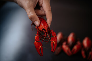 Close-up of a hand holding a small fried red lobster, with more lobsters blurred in the background....