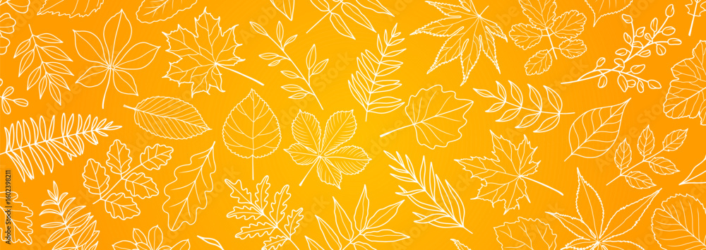 Wall mural abstract autumn leaf fall on yellow background with leaves hand drawn in line style. vector illustra