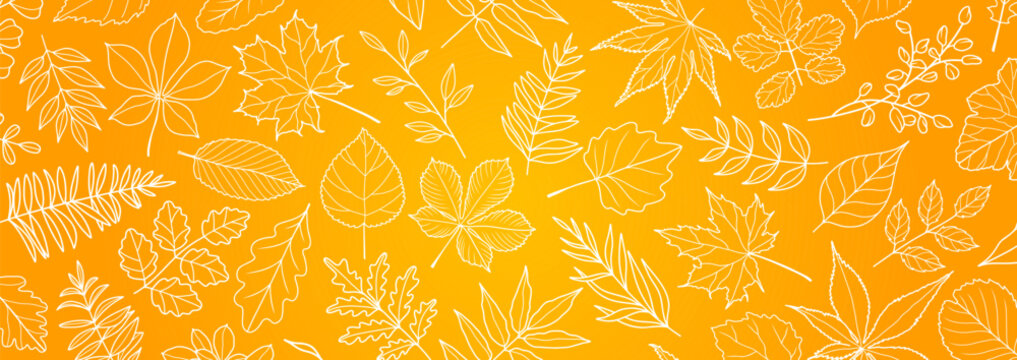Abstract autumn leaf fall on yellow background with leaves hand drawn in line style. Vector illustration