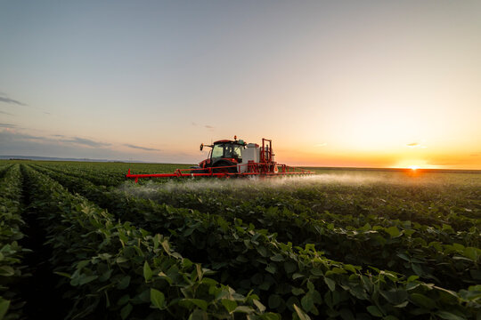 Tractor spraying crops in a lush green field at sunset.