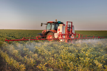 Tractor spraying crops in a lush green field at sunset.