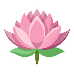 Fototapeta premium lotus flower 