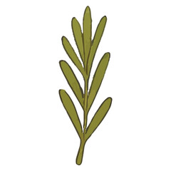Fototapeta premium Fresh Rosemary Garnish for Meat Dish Illustration