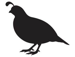 QUAIL SILHOUETTE