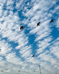A peaceful sky with soft clouds