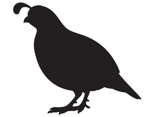 QUAIL SILHOUETTE