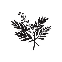 Obraz premium Wattle Day Silhouette Vector Illustration, Solid White Background. 