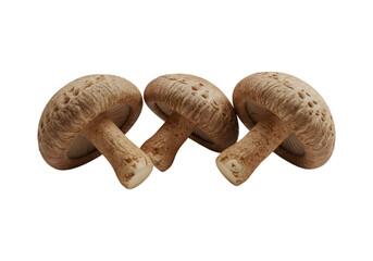 Shiitake mushrooms on a transparent background