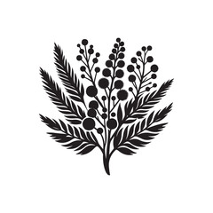 Wattle Day Silhouette Vector Illustration, Solid White Background.	