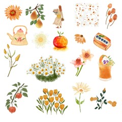 set of flowers and fruits