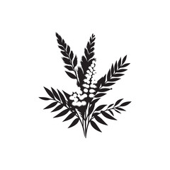 Wattle Day Silhouette Vector Illustration, Solid White Background.	