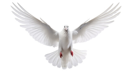 Obraz premium Graceful white dove with wings spread wide in flight, symbolizing peace and hope isolated on white or transparent png.