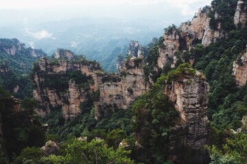 Obraz premium Misty morning view of Zhangjiajie landscape showcasing towering cliffs and lush greenery