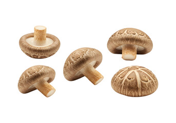 Shiitake mushrooms PNG