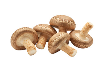 Shiitake mushrooms on a transparent background