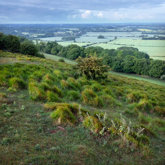 landscape of north downs near ashford and wye valley in english county of kent on early summer...