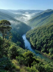 High-angle view of a river winding through a valley, shrouded in mist. Lush greenery fills the valley