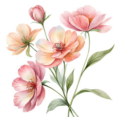 Watercolor Floral Bouquet with Peach and Pink Flowers on Transparent Background