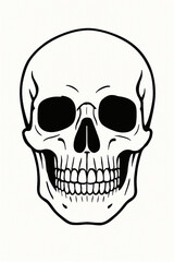Fototapeta premium human skull vector illustration