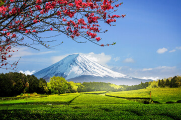 mt fuji japan