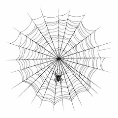 Fototapeta premium spider web vector illustration