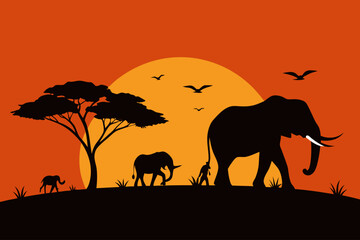 silhouette wild elephants sunset africa