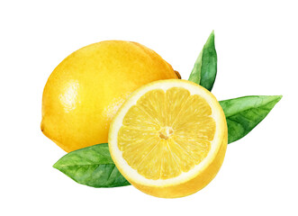 Watercolor Realistic Lemon with Green Leaves Isolated on White Background
